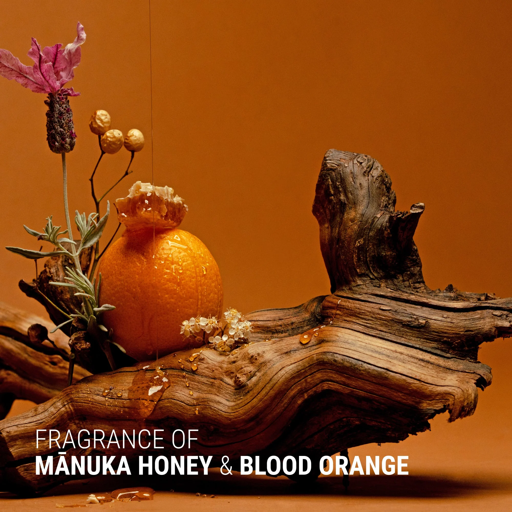 Antipodes Manuka + Orange Volume & Shine Shampoo 340ml - Image 3