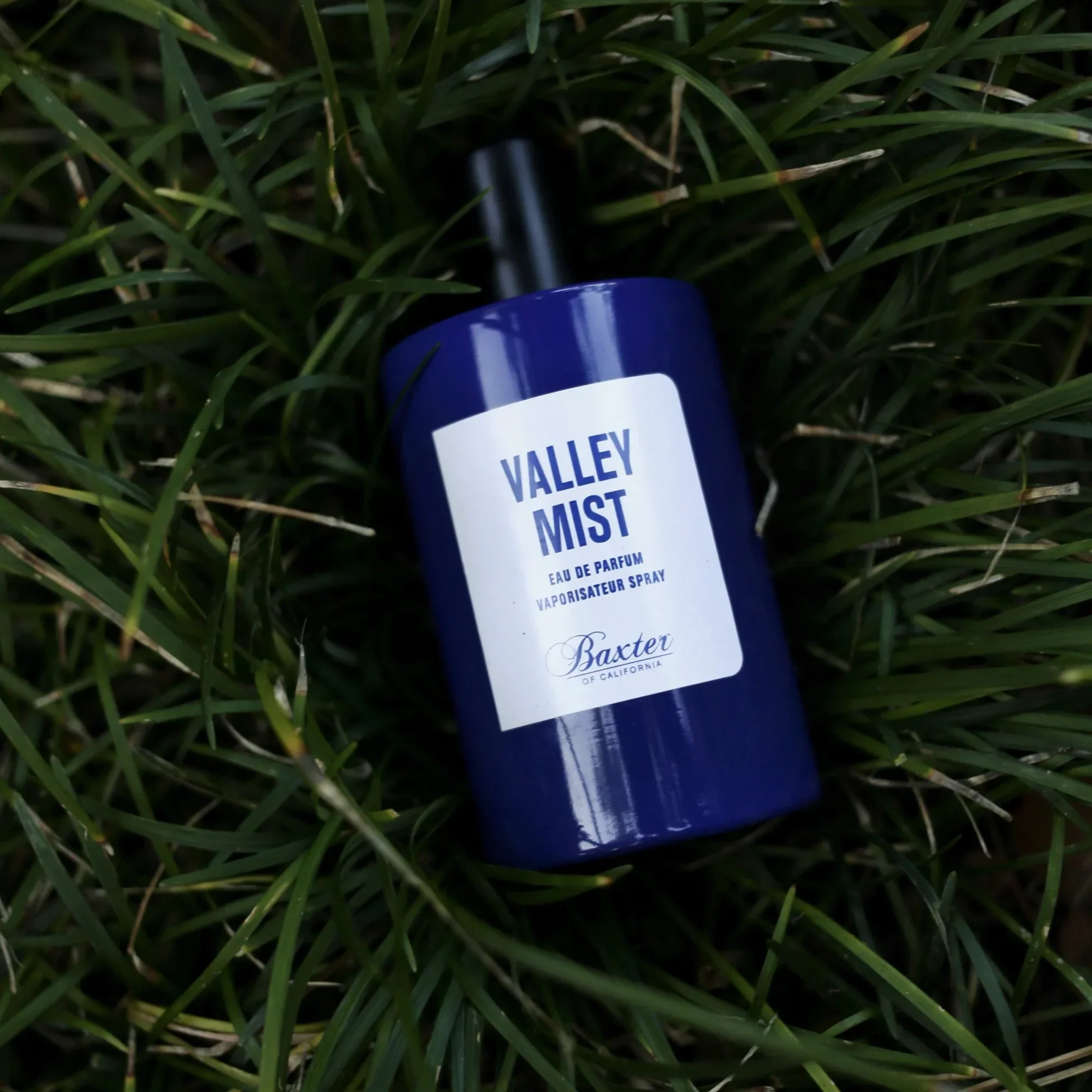 Baxter Of California Valley Mist Eau De Parfum 100ml - Image 3