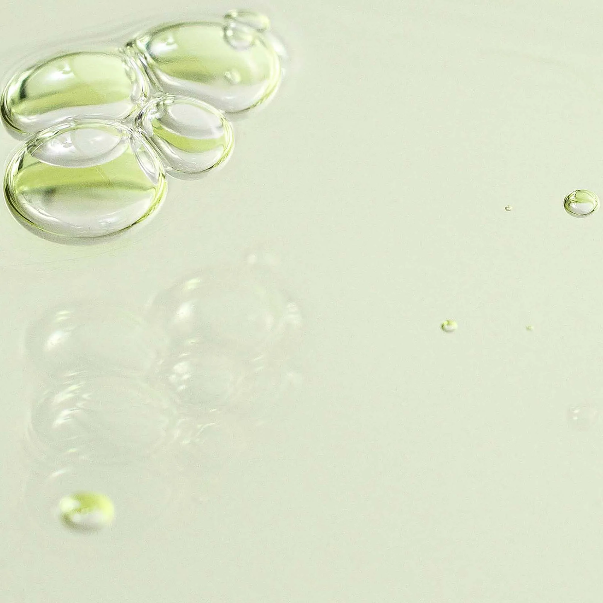 Beauty of Joseon Calming Serum Green Tea + Panthenol 30ml - Image 2