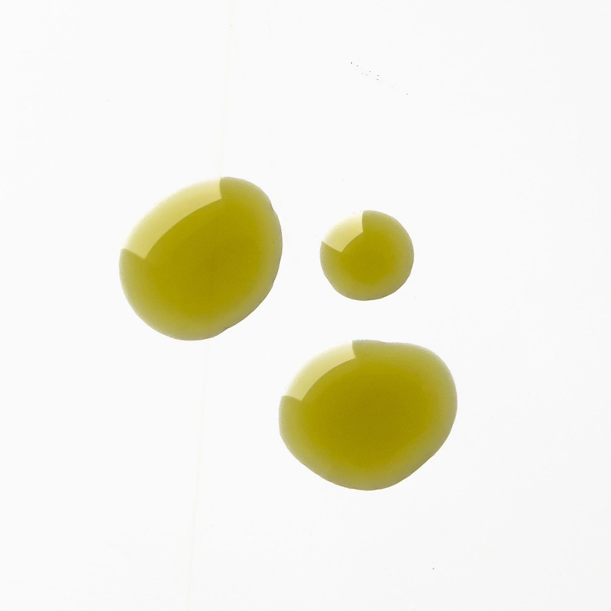 Biologi By Blackberry Seed Oil 30ml - Image 2