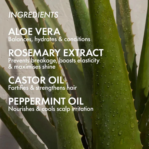 Bondi Boost Elixir Oil 100ml - Image 2