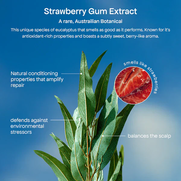 Bondi Boost Strawberry Gum HG Miracle Hair Mask 250ml - Image 8