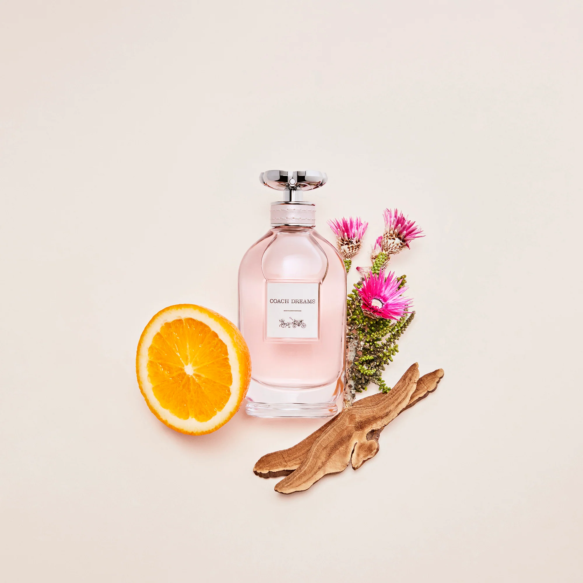 Coach Women's Dreams Eau de Parfum 90ml - Image 3
