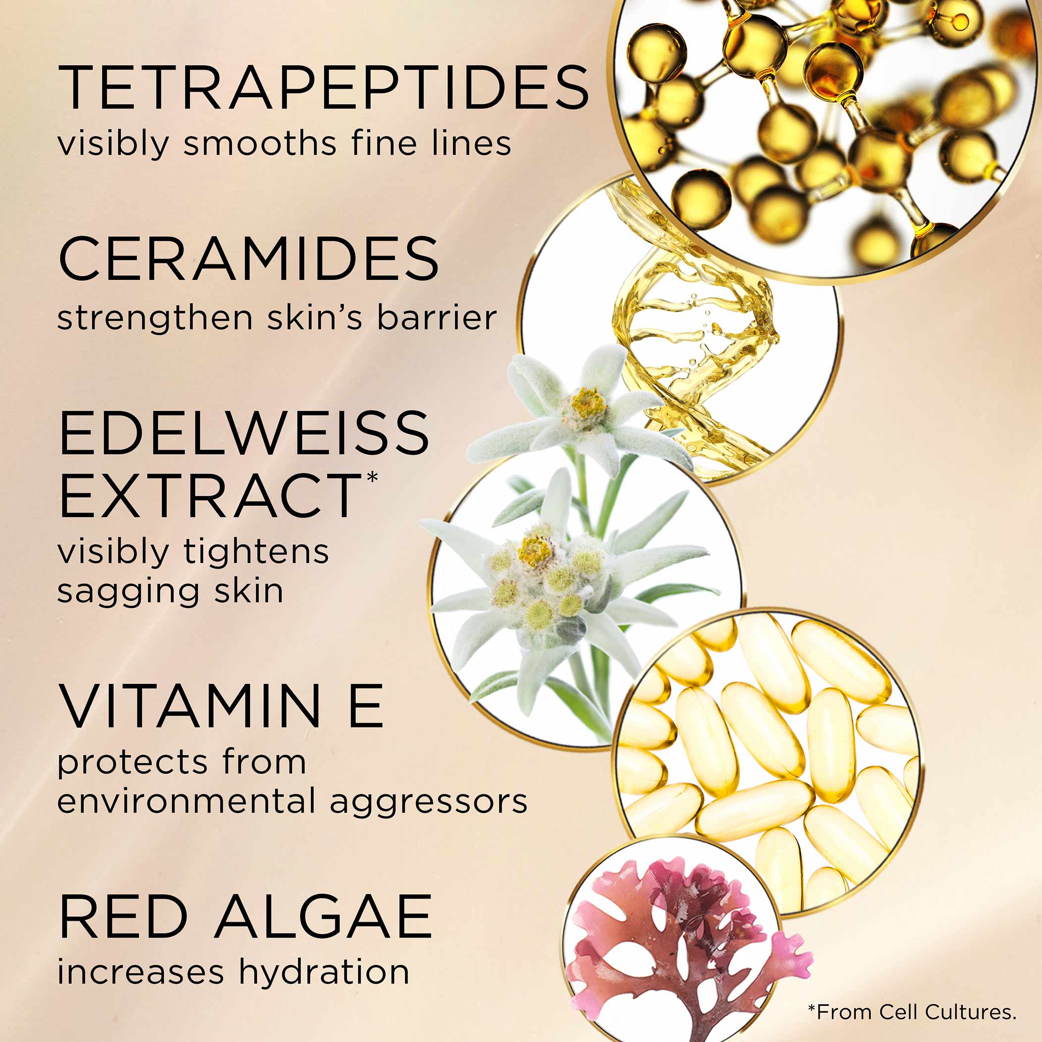 Elizabeth Arden Advanced Ceramide Lift & Firm Day Cream 50ml - Image 6