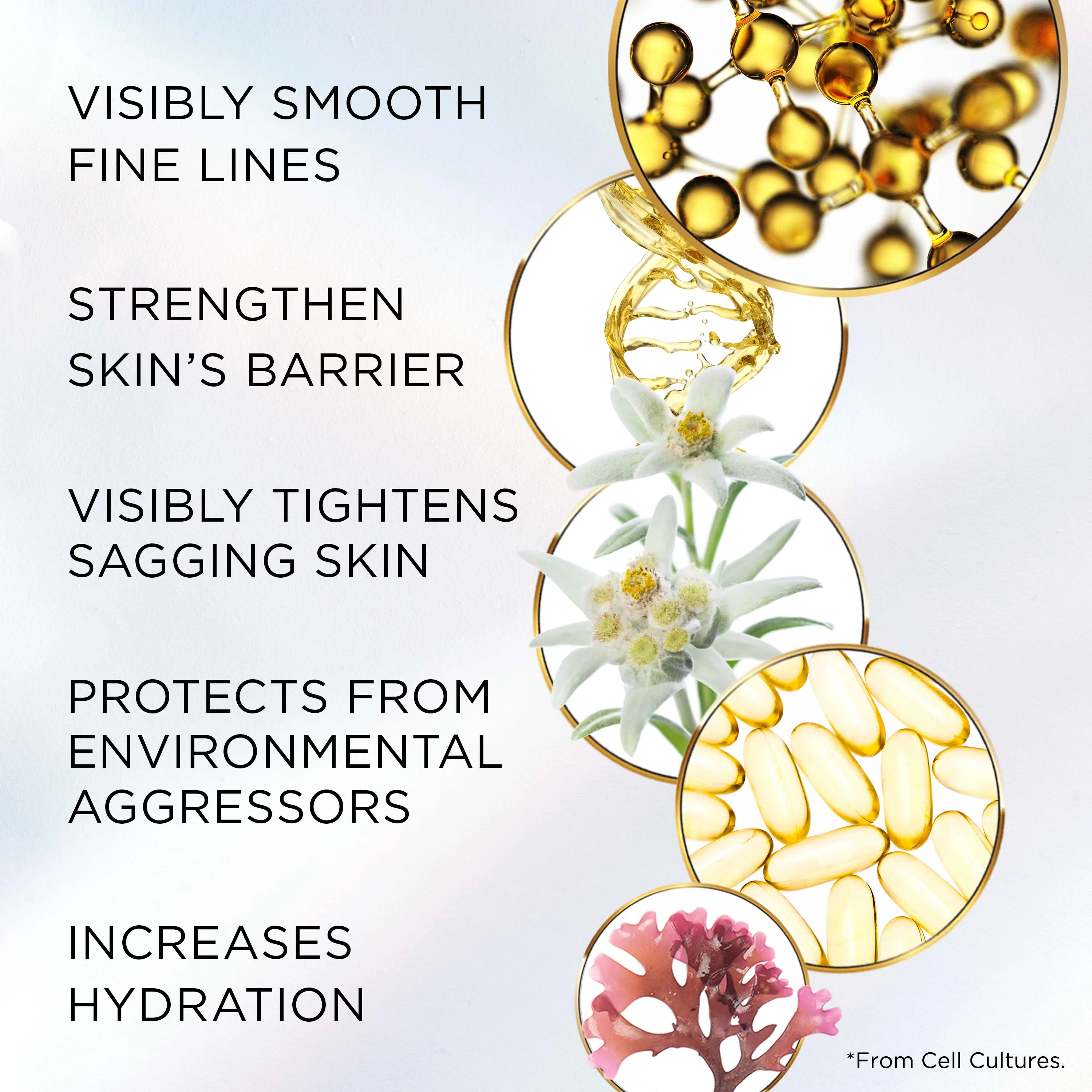 Elizabeth Arden Advanced Ceramide Lift & Firm Night Cream 50ml - Image 6