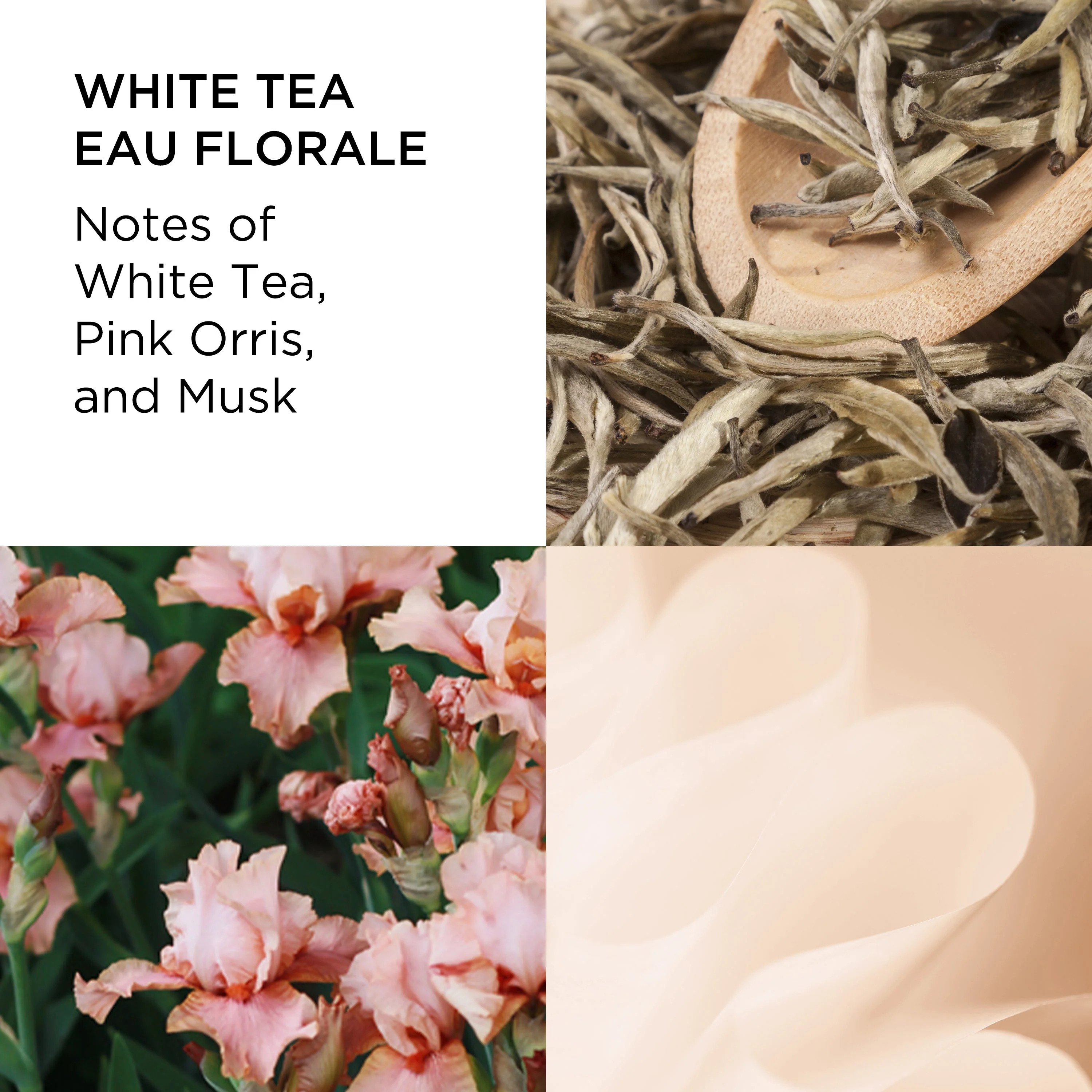Elizabeth Arden White Tea Eau Florale EDT 100ml - Image 3