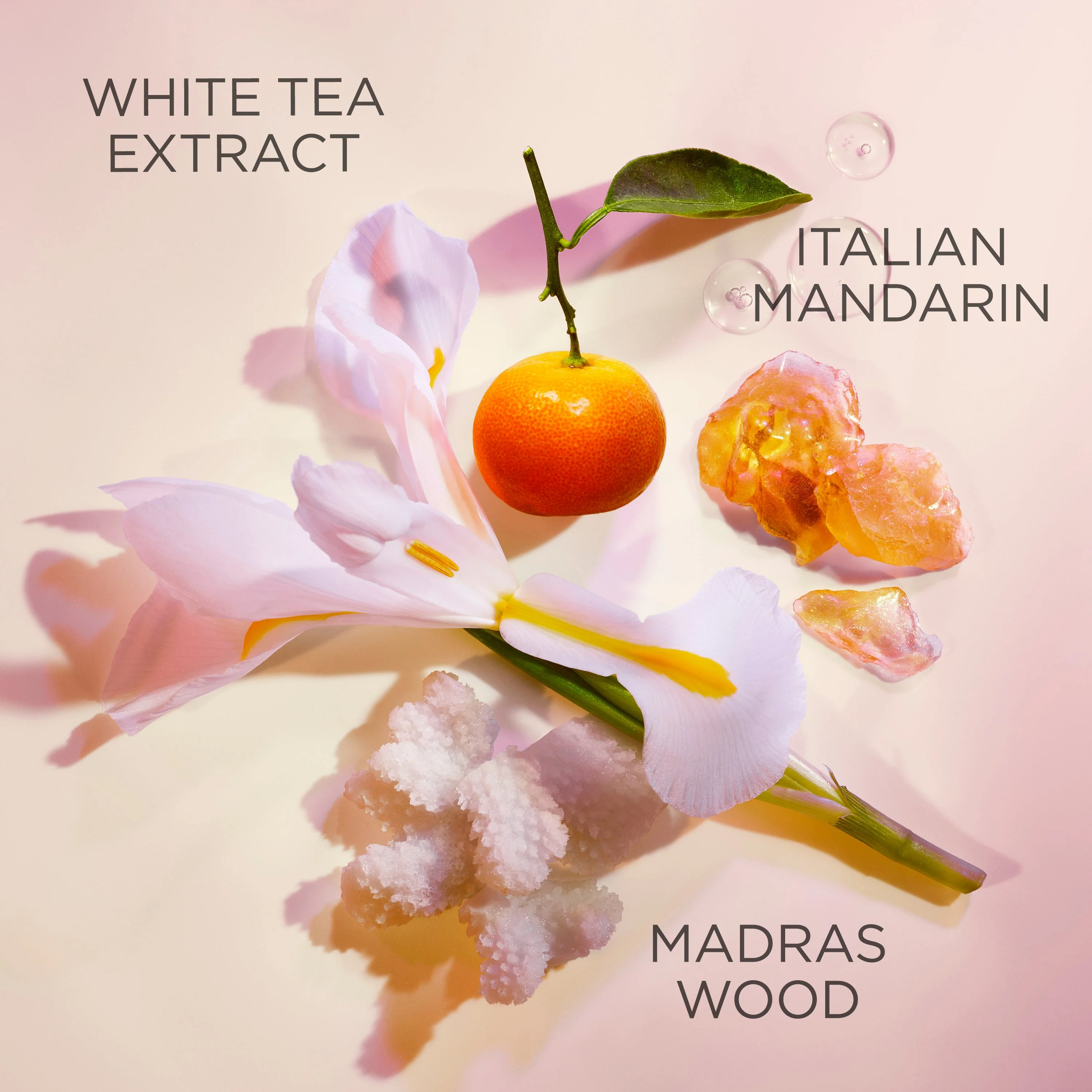 Elizabeth Arden White Tea EDT 100ml - Image 4