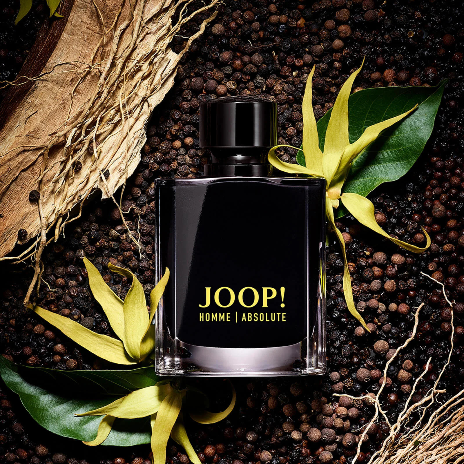 JOOP! Homme Absolute for Him Eau de Parfum 120ml - Image 2