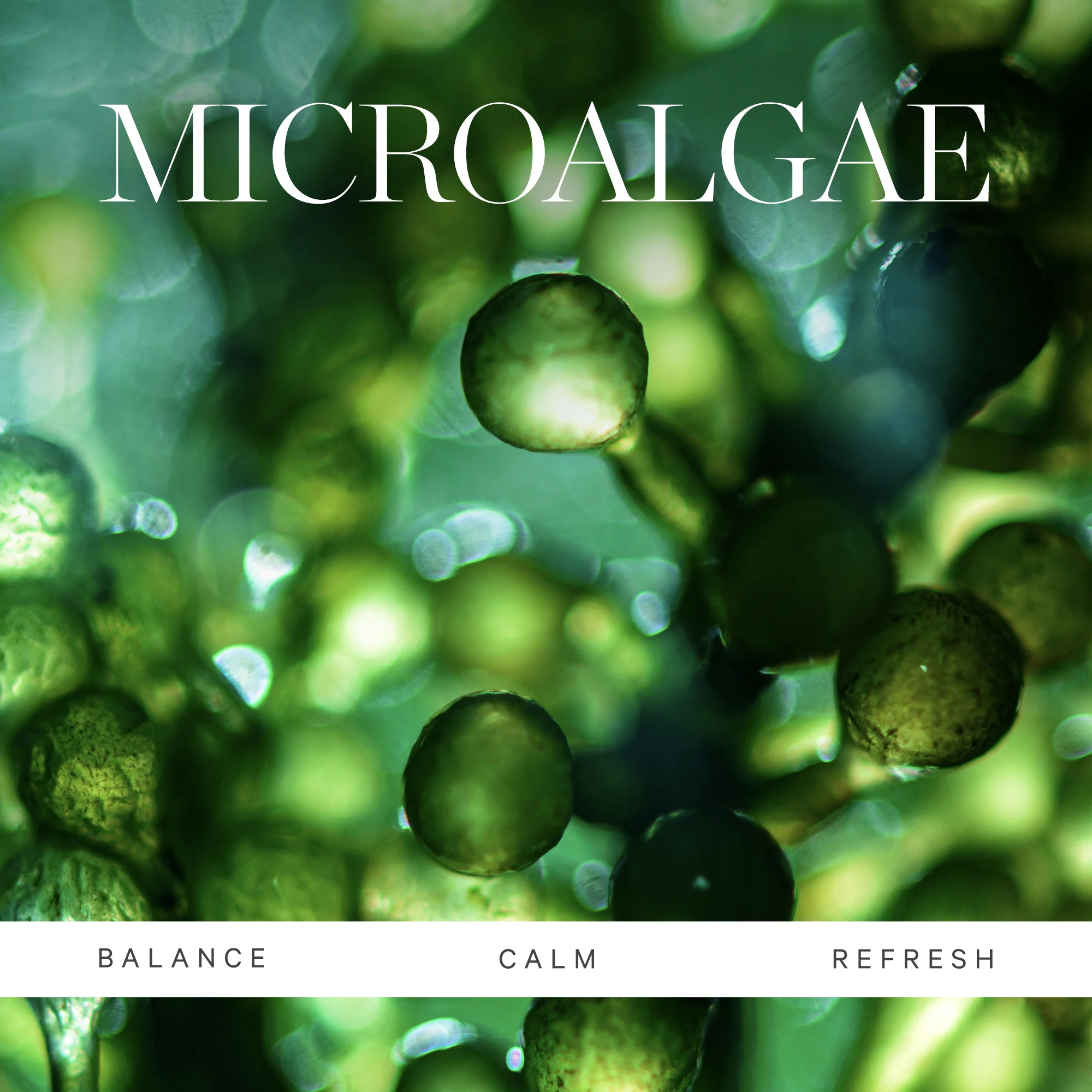 KORA Organics Active Algae Lightweight Moisturizer 15ml - Image 4