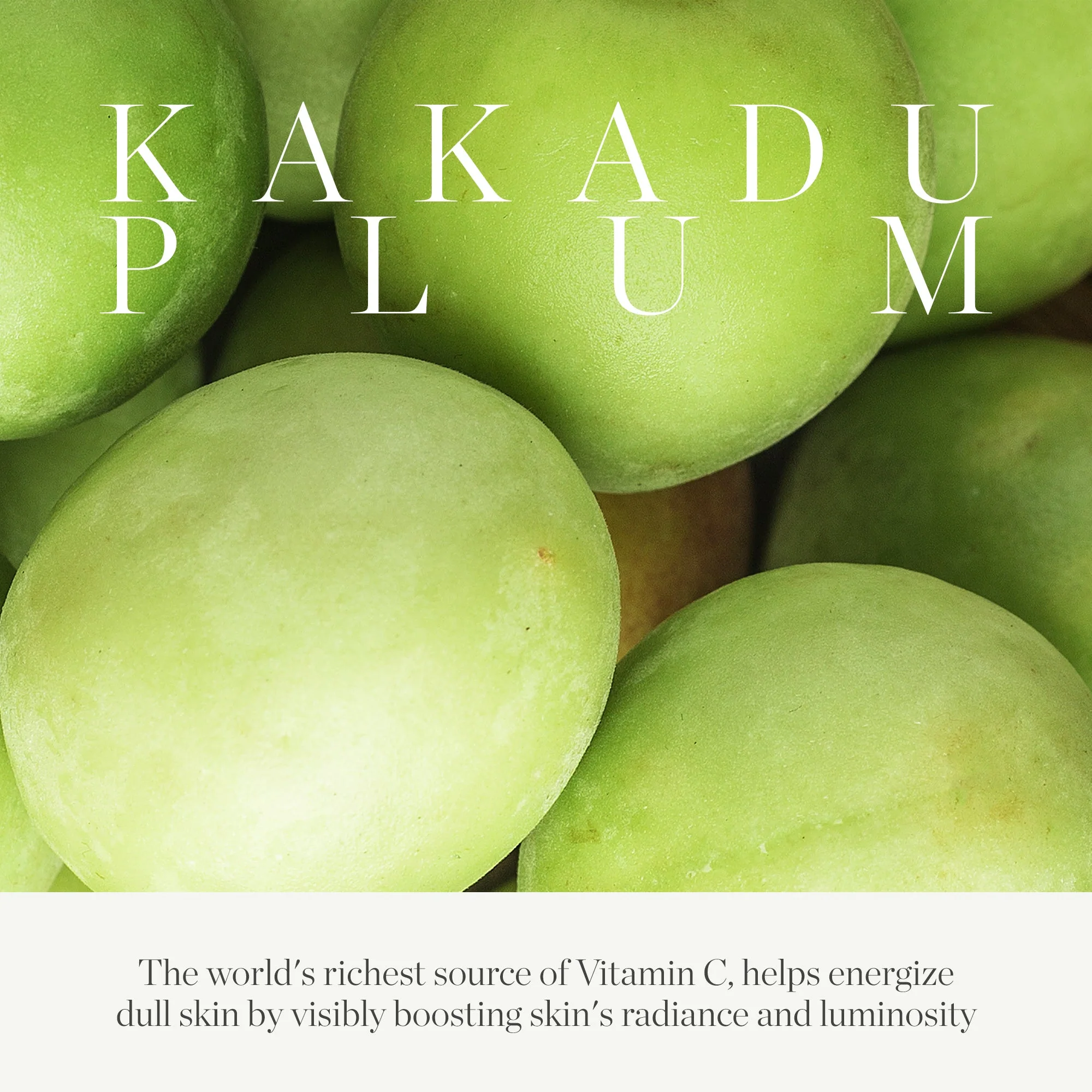 KORA Organics Kakadu Plum Vit C Eye Cream Jar 15ml - Image 9