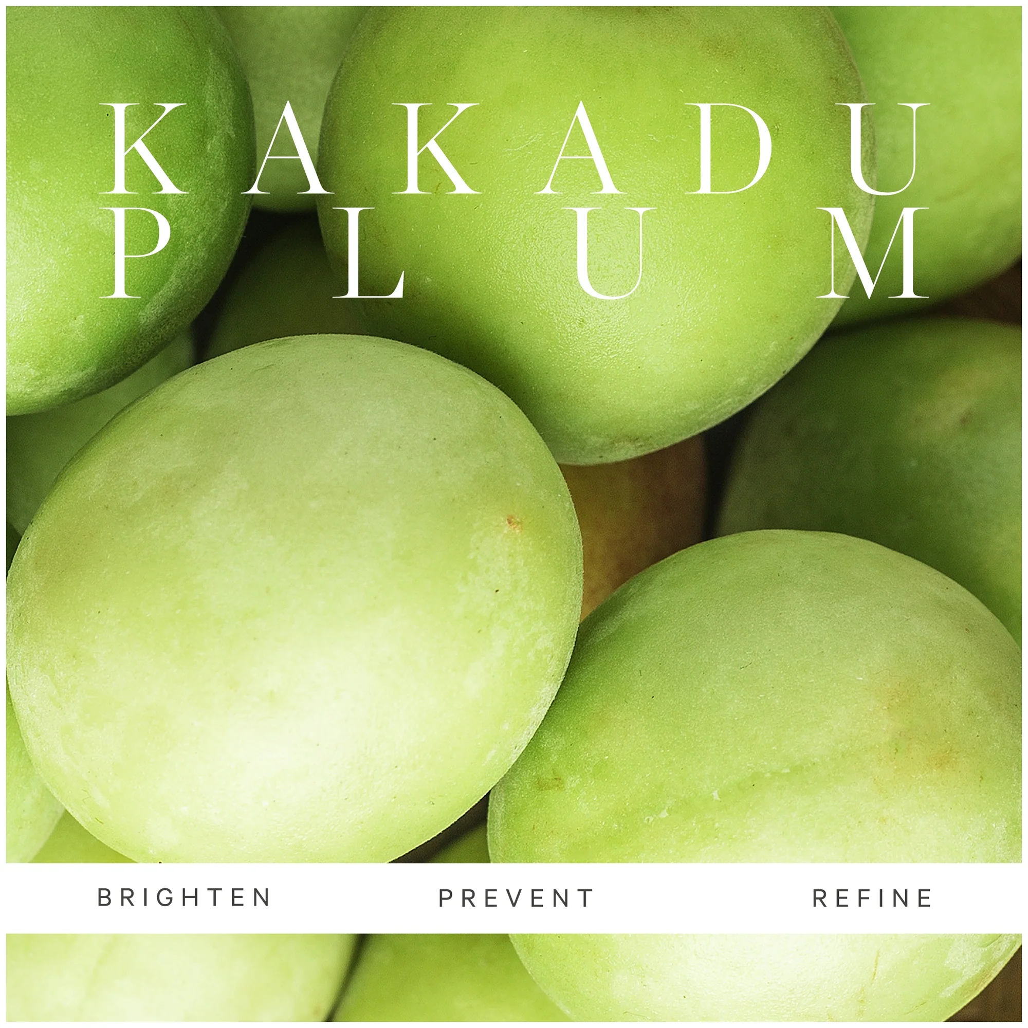 KORA Organics Kakadu Plum Vitamin C Serum 10ml - Image 5
