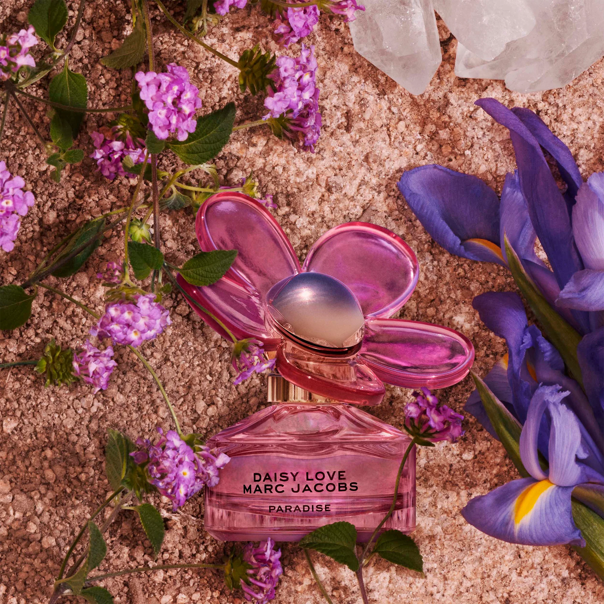 Marc Jacobs Limited Edition Daisy Love Paradise Eau de Toilette 50ml - Image 3
