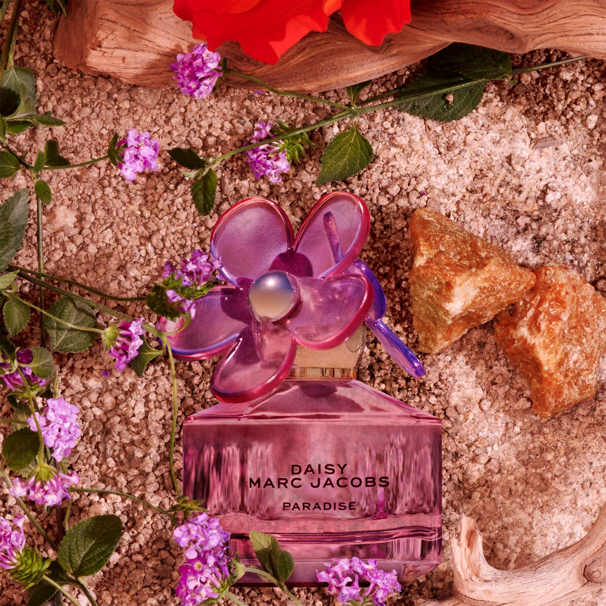 Marc Jacobs Limited Edition Daisy Paradise Eau de Toilette 50ml - Image 3