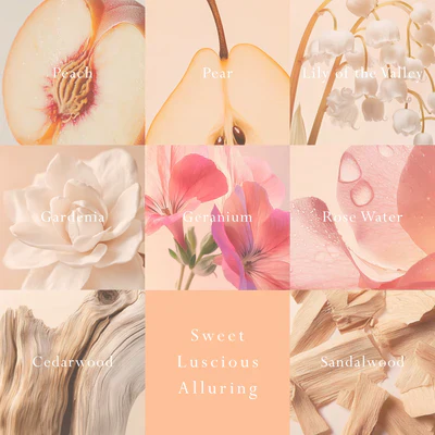 MOR Emporium Classics Peach Delight Car Diffuser - Fragrance Disc Refill - Image 3