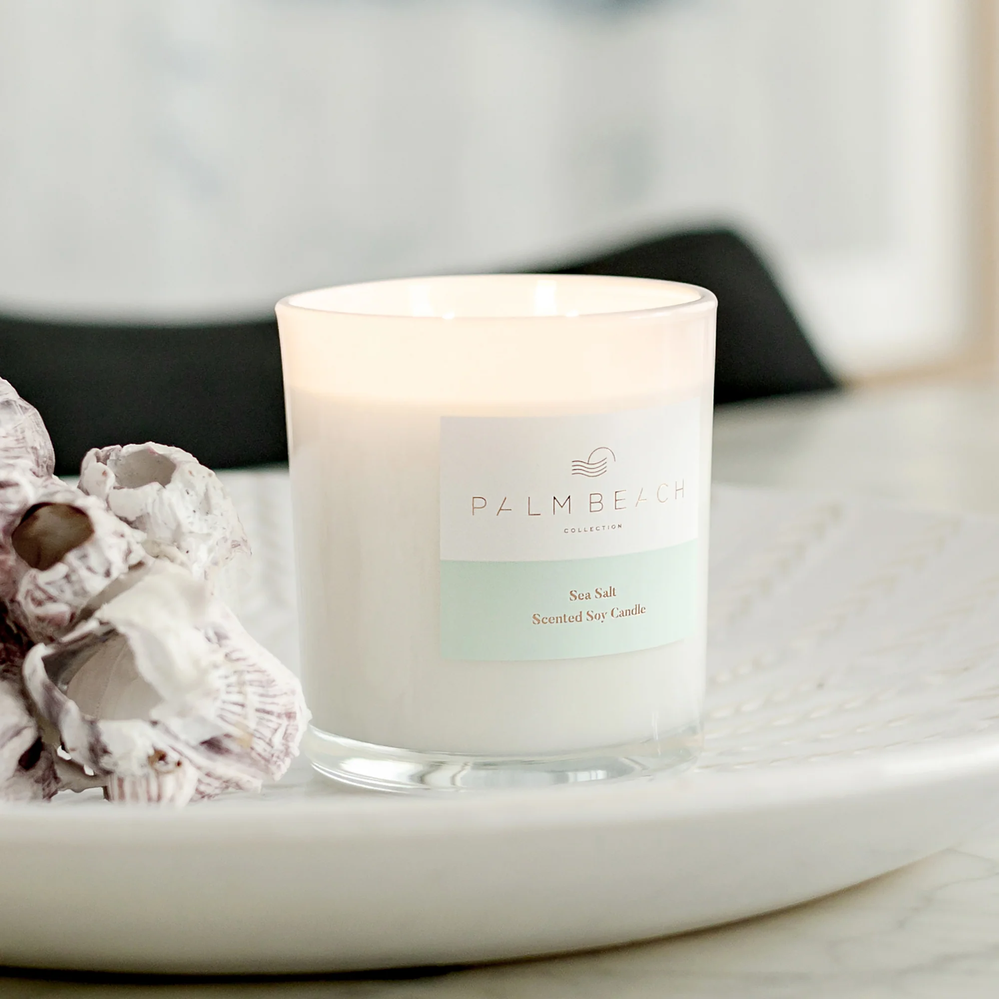 Palm Beach Collection Sea Salt 420g Standard Candle - Image 2