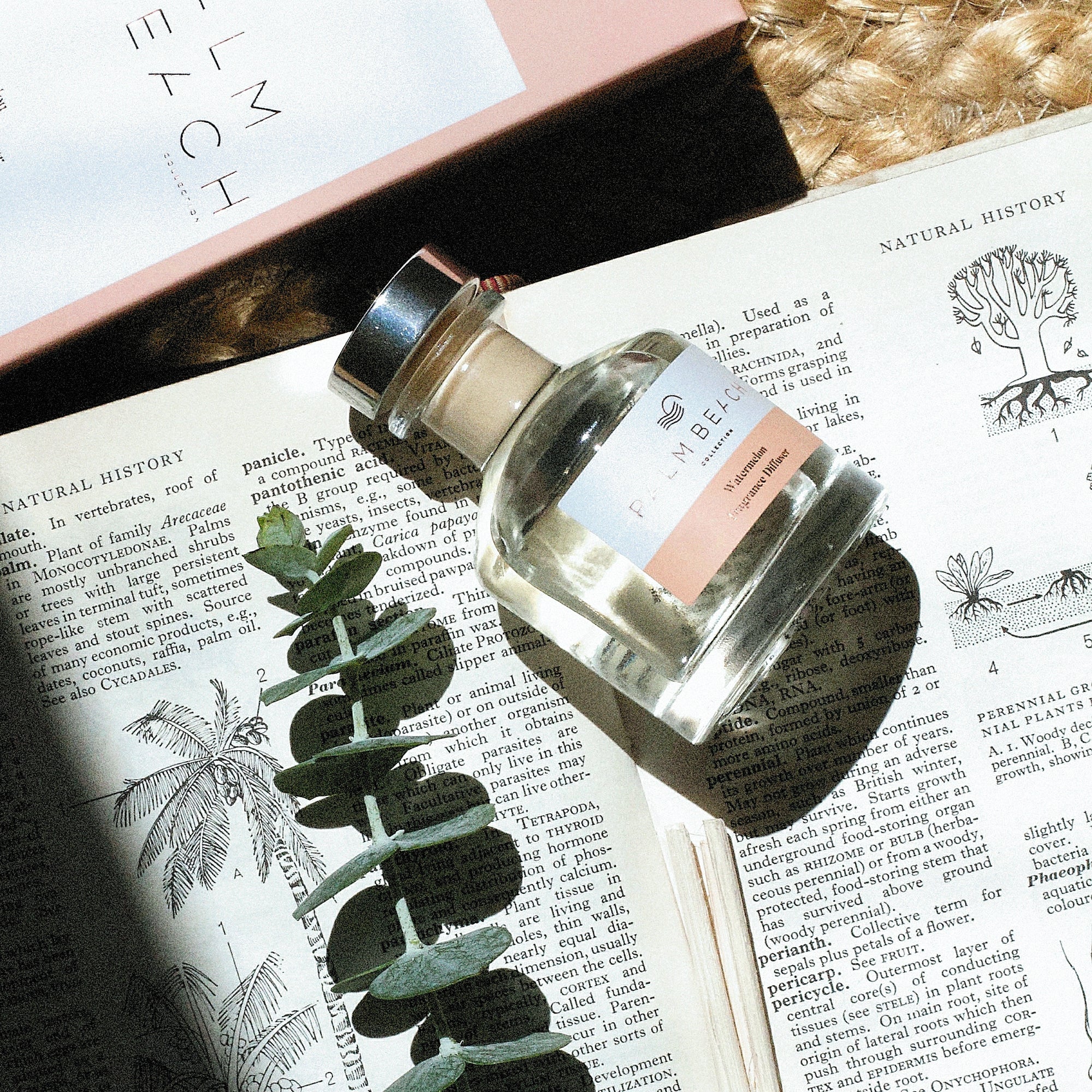 Palm Beach Collection Watermelon Mini Fragrance Diffuser 50ml - Image 2