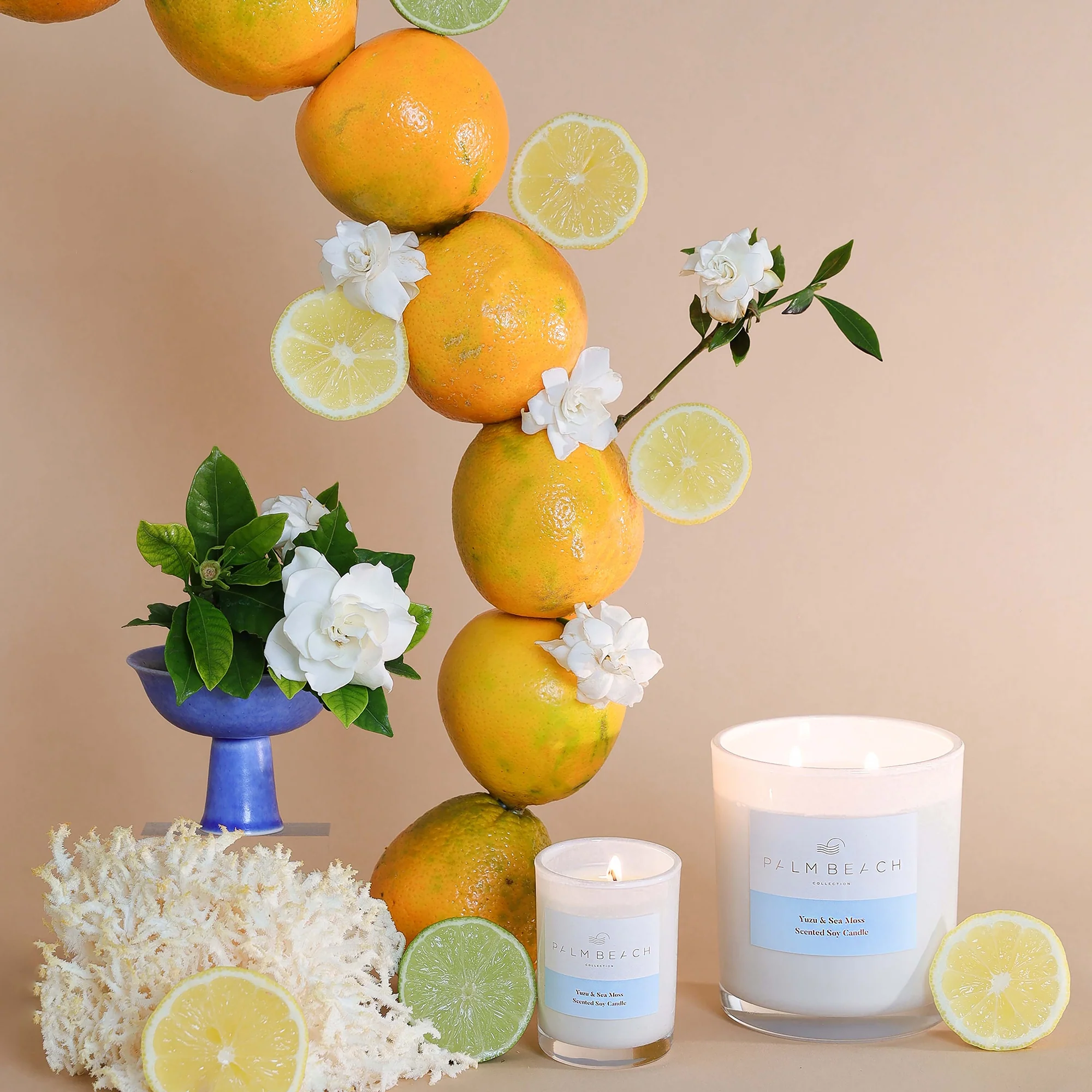 Palm Beach Collection Yuzu & Sea Moss Mini Candle 90g - Image 2