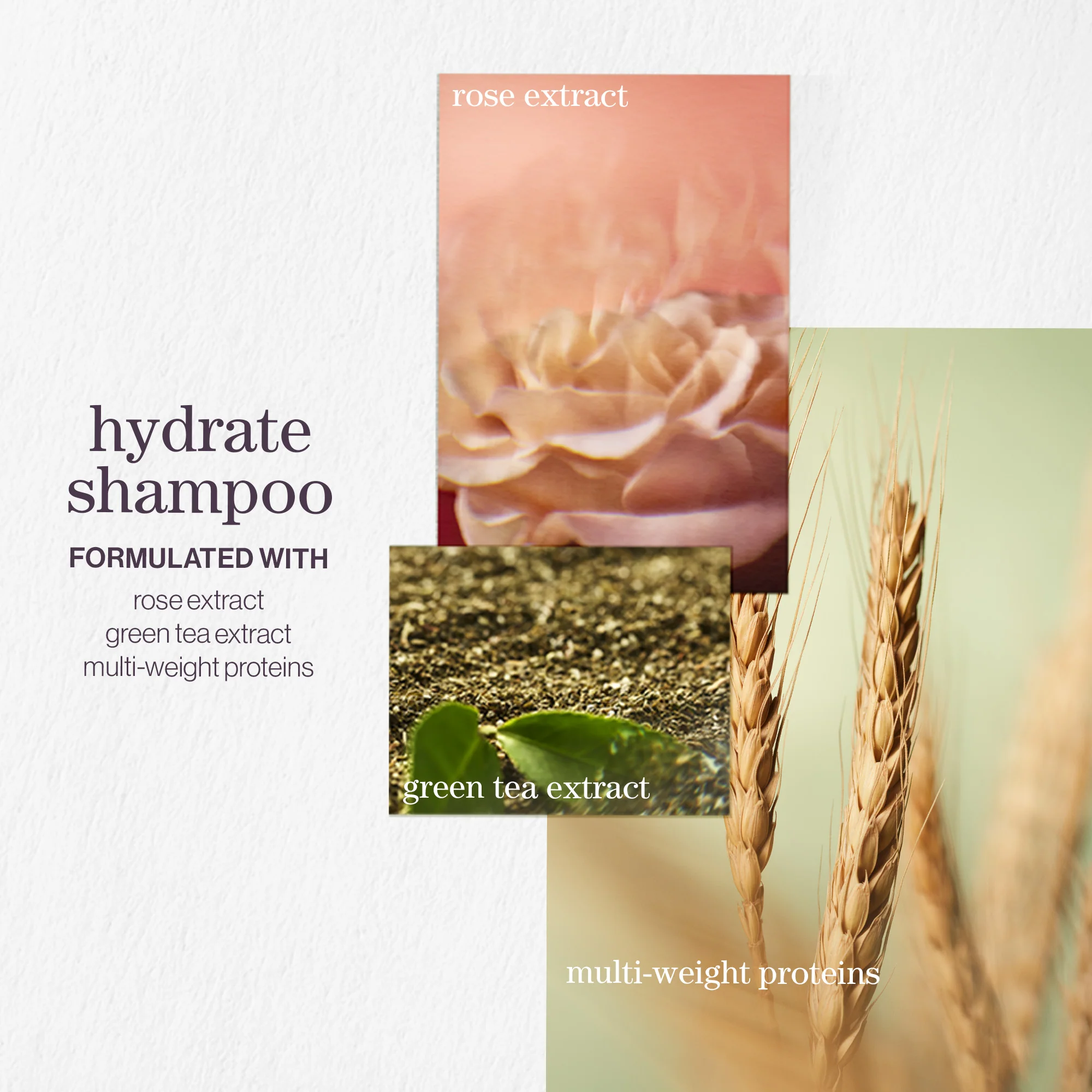 Pureology Hydrate Shampoo and Conditioner Moisturising Bundle for Dry Hair, Sulphate Free for a Gentle Cleanse - Image 2