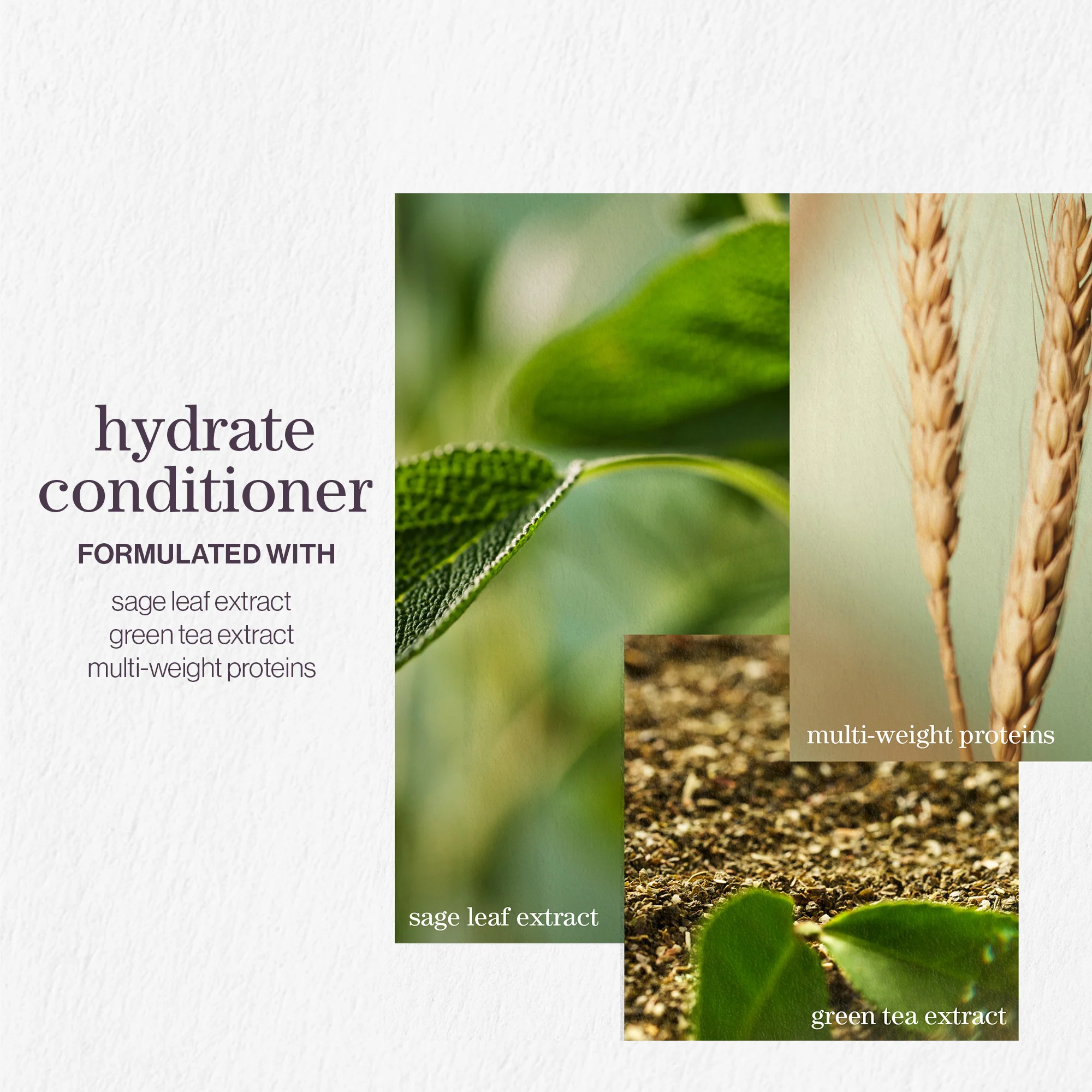 Pureology Hydrate Shampoo and Conditioner Moisturising Bundle for Dry Hair, Sulphate Free for a Gentle Cleanse - Image 3