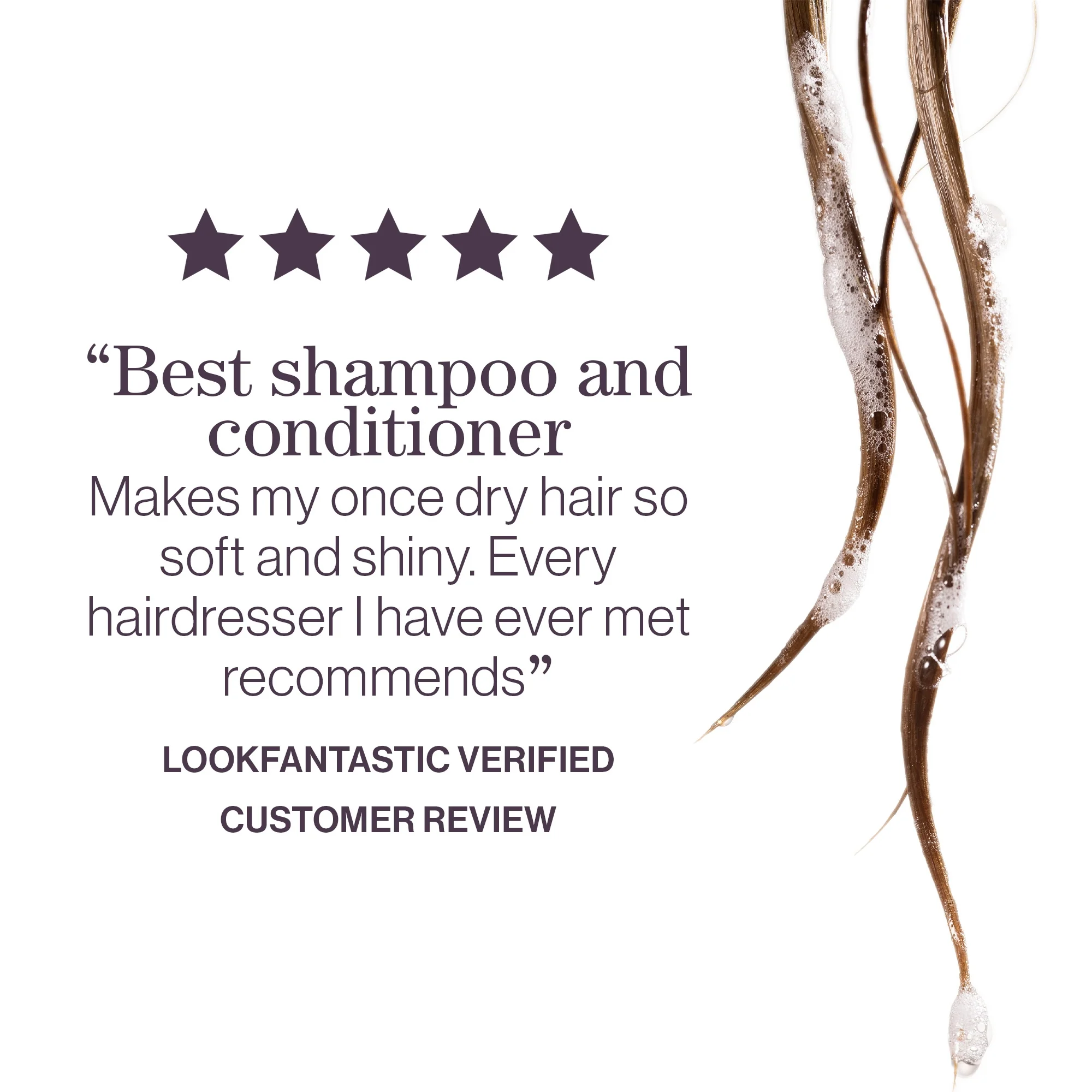 Pureology Hydrate Shampoo and Conditioner Moisturising Bundle for Dry Hair, Sulphate Free for a Gentle Cleanse - Image 5