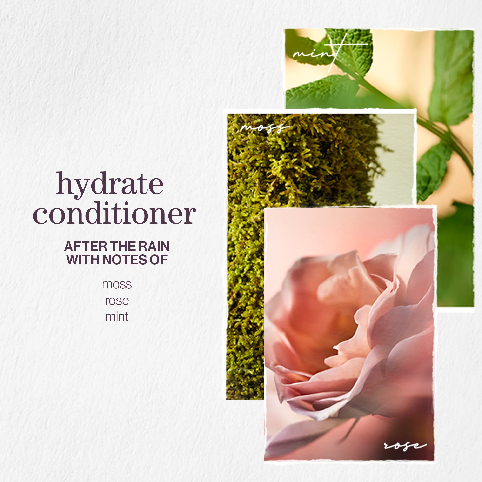 Pureology Hydrate Shampoo and Conditioner Moisturising Bundle for Dry Hair, Sulphate Free for a Gentle Cleanse - Image 6