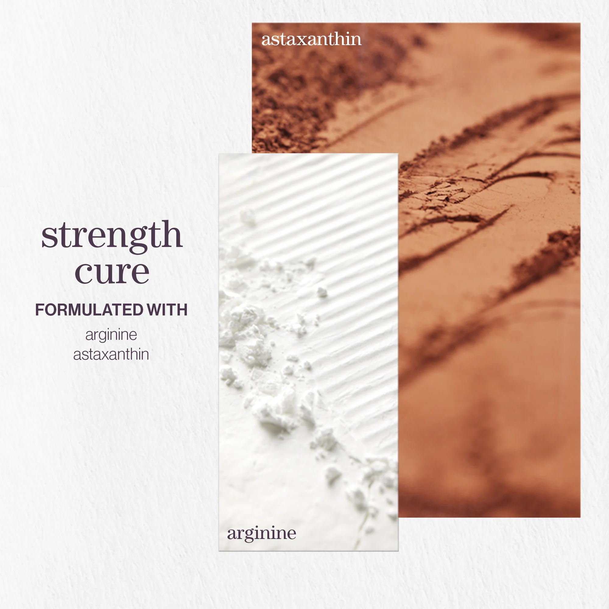 Pureology Strength Cure Conditioner 266ml - Image 3