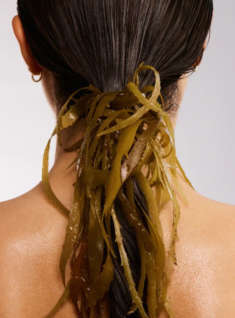 The Beauty Chef Hair Biotic 60 Capsules - Image 6