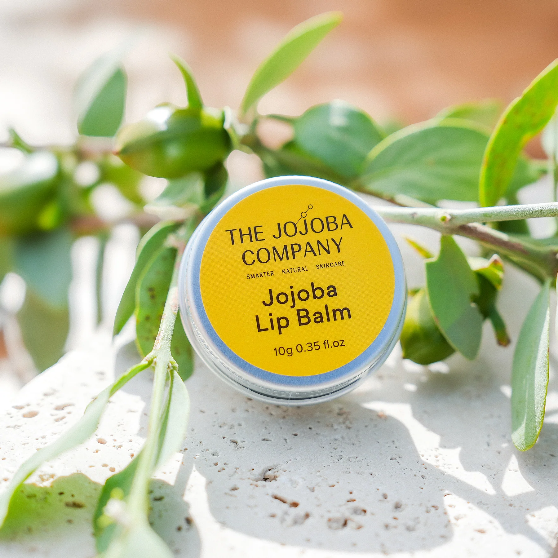 The Jojoba Company Jojoba Lip Balm 10g - Image 4