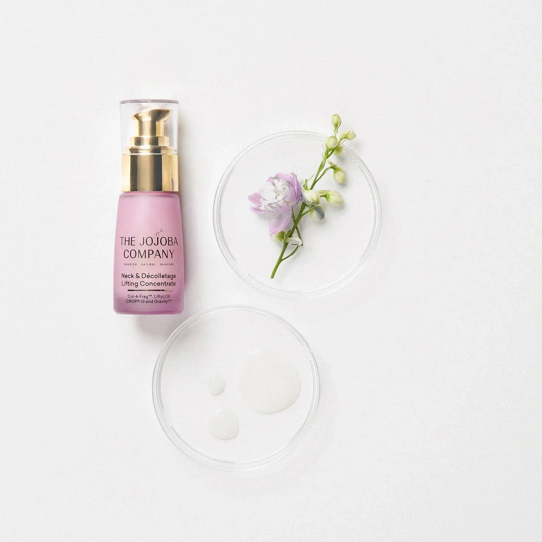 The Jojoba Company Neck & Decolletage Lifting Concentrate 30ml - Image 7