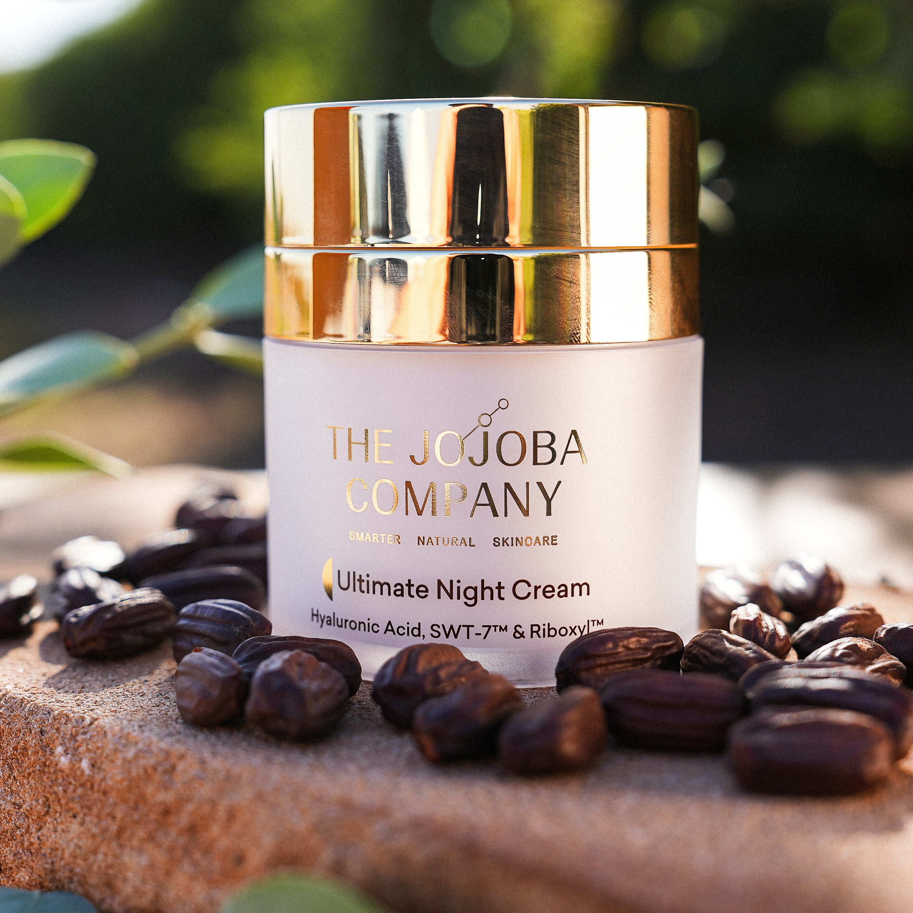 The Jojoba Company Ultimate Night Cream 50ml - Image 4