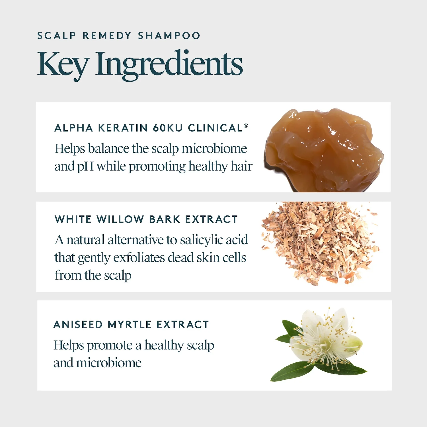 Virtue Scalp Remedy Shampoo 240ml - Image 10