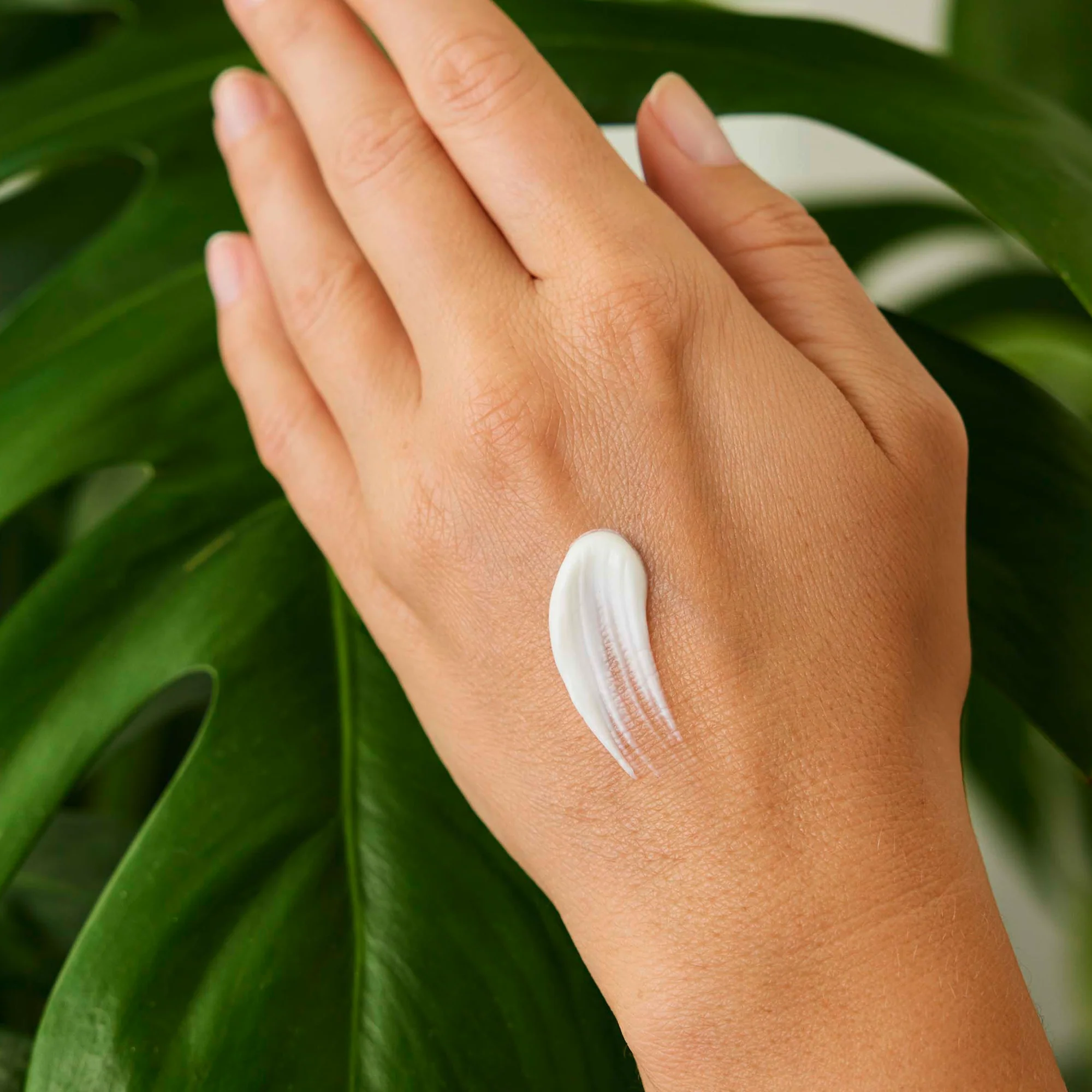Weleda Refreshing Hand and Nail Cream Citrus 50ml - Image 3